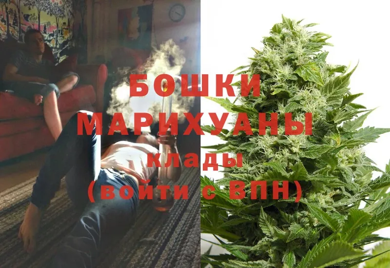 Бошки Шишки OG Kush  купить наркотики цена  Венёв 